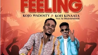 Kojo Wadosty - The Feeling Ft Kofi Kinaata