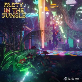 Kwaku DMC - Party In The Jungle Album