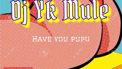 DJ YK Mule - Have You Pupu