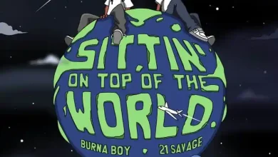Burna Boy - Sittin' On Top Of The World (Remix) Ft 21 Savage