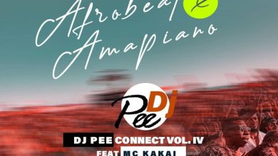 DJ Pee - Connect Vol. 4 (DJ Mixtape)