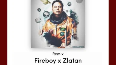 Shallipopi - Elon Musk (Remix) Ft Fireboy DML & Zlatan