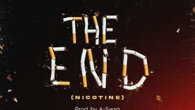 Dayonthetrack - The End (Nicotine)