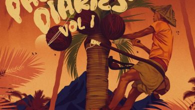 Juls - Palm Wine Diaries Vol 1 Album