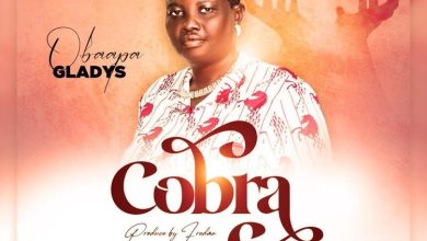 Obaapa Gladys - Nipa Ye Cobra
