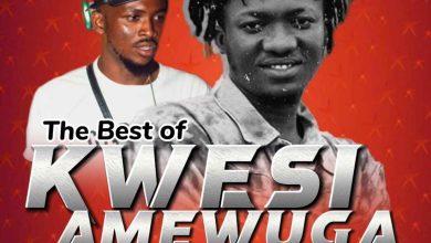 DJ Proverb - The Best Of Kwesi Amewuga Mix