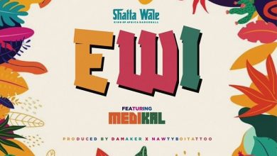 Shatta Wale - Ewi (Thief) Ft Medikal