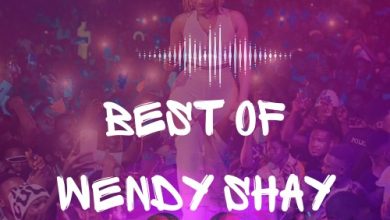 DJ Iyke - Best Of Wendy Shay Mix
